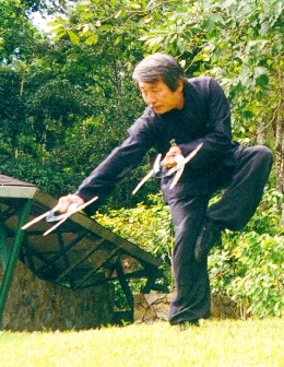 Master SU YU-CHANG